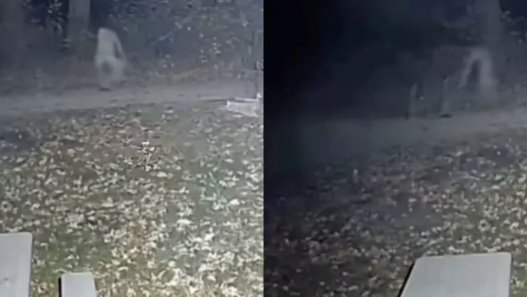 Cámara de seguridad capta a entidad sin cabeza caminando en jardín | VIDEO