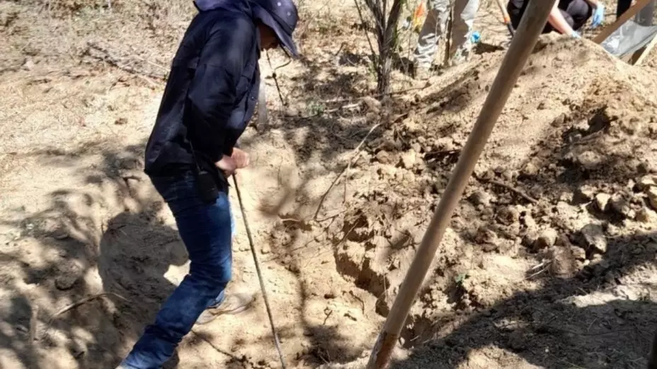 Fosa clandestina Los Cabos más de 100 huesos hallados