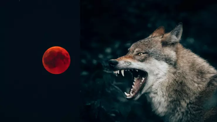 Eclipse lunar 2025_ ¿El hombre lobo saldrá hoy 13 de marzo de 2025