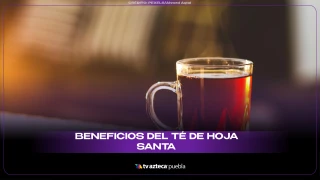 hoja santa sitio.png