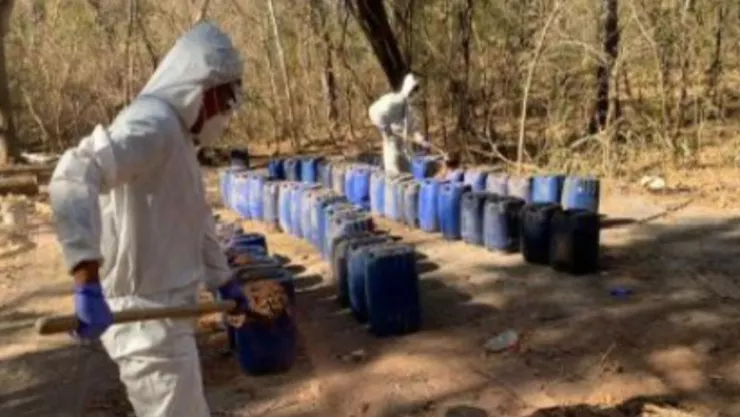 Laboratorios clandestinos