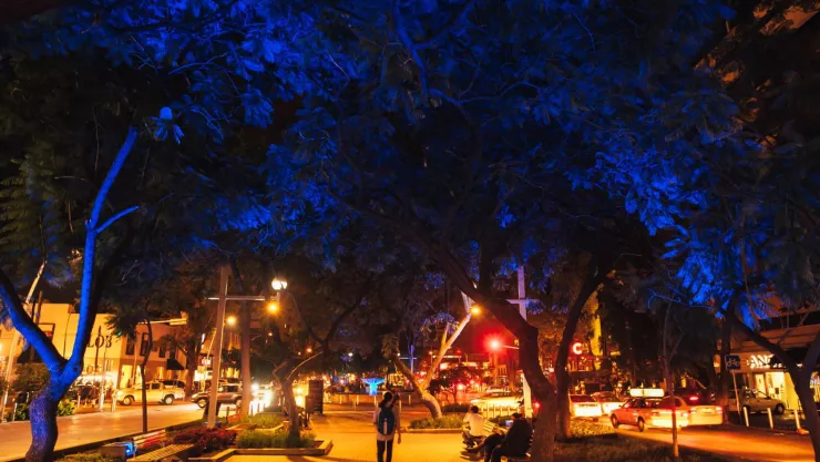 Hay cierres viales Esta es la fecha en la que concluirán las obras en Paseo Chapultepec