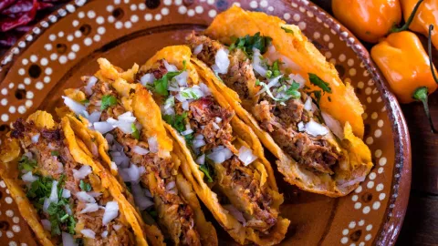 Precio Cilantro 2024