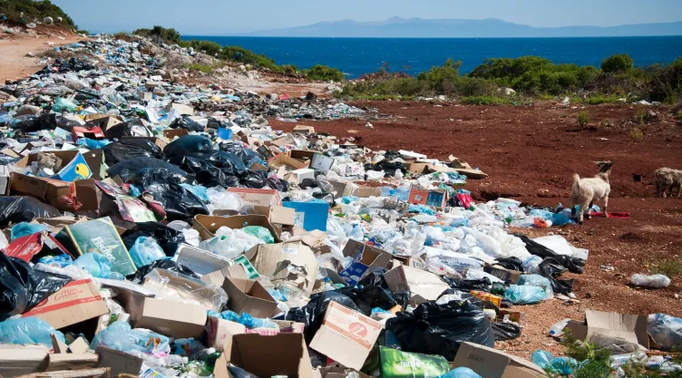 crisis ambiental .jpg