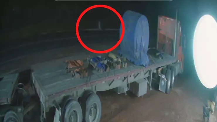 Video de La Llorona en TikTok 2025