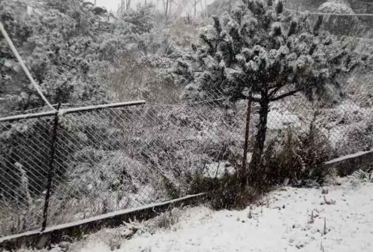 nieve CDMX Ajusco