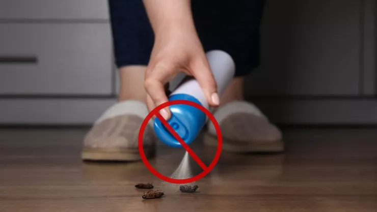 insecticida cucarachas riesgo