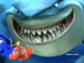 buscando-a-nemo