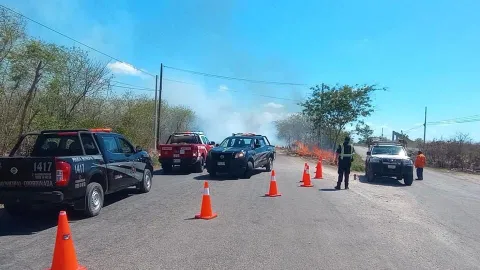 Reportan incendio forestal en antigua carretera Tekat-Conkal