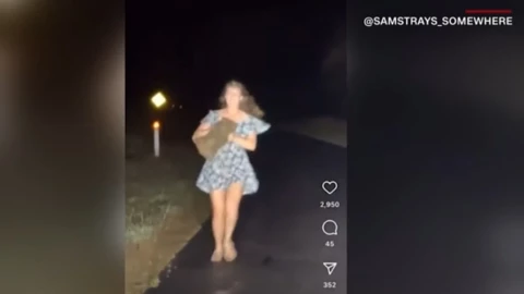 turista-estadounidense-intenta-robar-cría-de-wómbat-en-australia