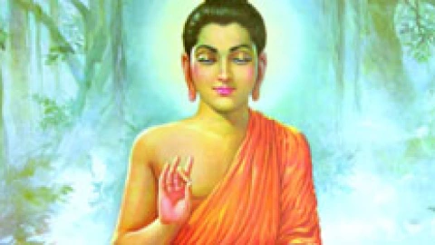 samsara karma nirvana ddc