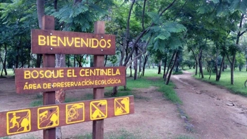 Bosque El Centinela.jpg
