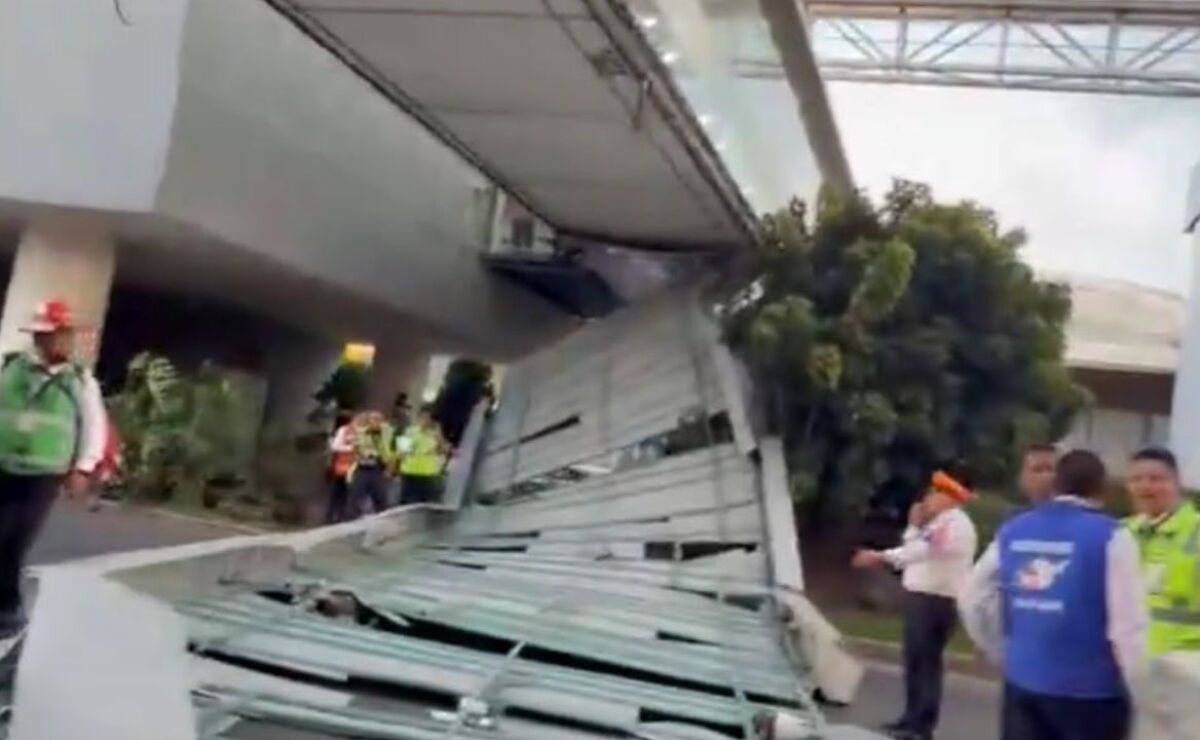VIDEO: ¡Caos en el AICM! Colapsa estructura de puente peatonal en la Terminal 1 y deja una lesionada