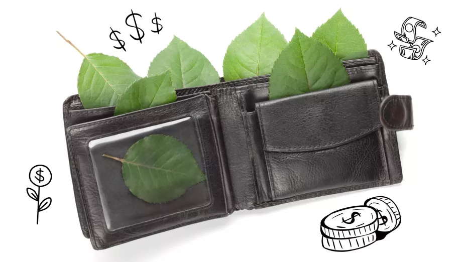 hoja laurel billetera