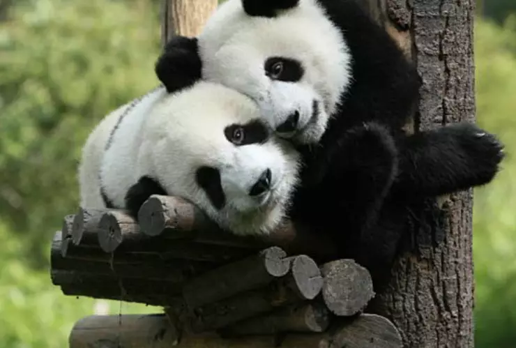 Efemérides del 3 de marzo: ¿Qué se pasó un día como hoy en México y el mundo?