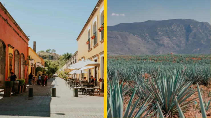 Tequila Jalisco