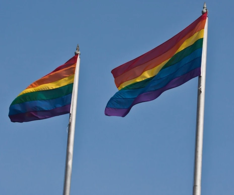 El matrimonio gay se aprobó en Francia hace 6 meses