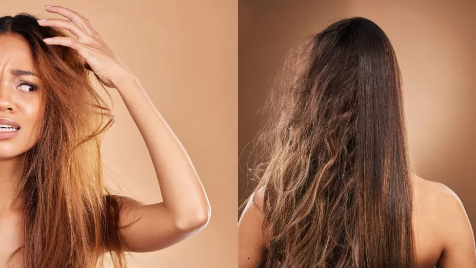 frizz humedad cabello