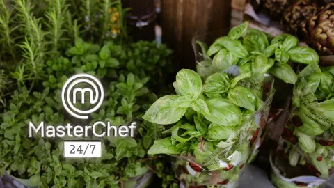 MasterChef albaca hierbas.jpg