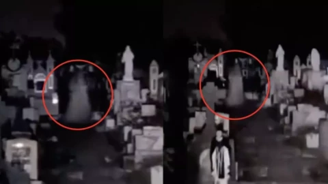 descarga - 2026-02-15T131125.947.webp