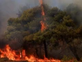 incendio-forestal-atenas-