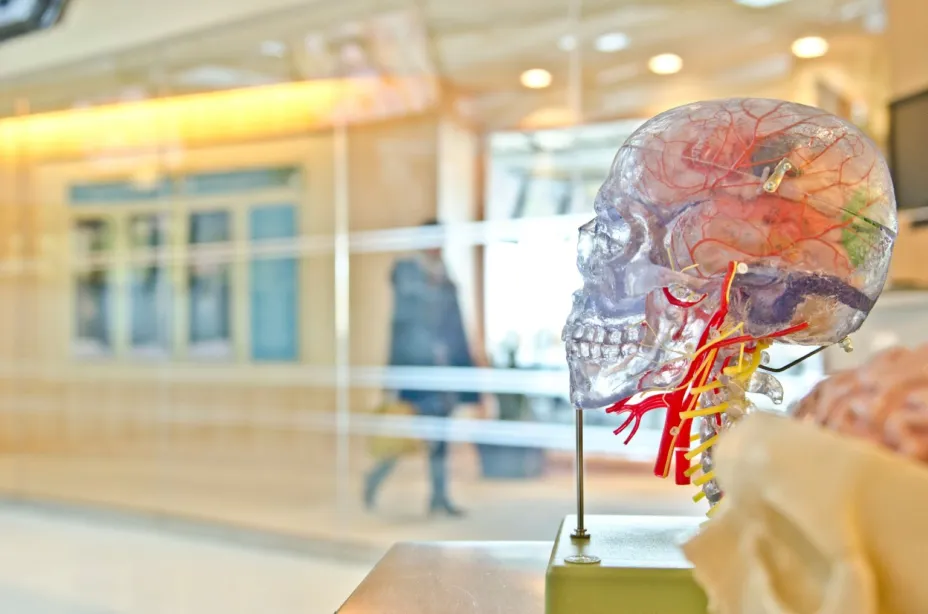Glioblastoma Mayo Clinic.jpg