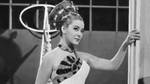 pel&iacute;culas Silvia Pinal