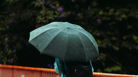 UdeG cancela clases en Jalisco por las fuertes lluvias; ¿cuáles son los planteles que suspendieron sus actividades?