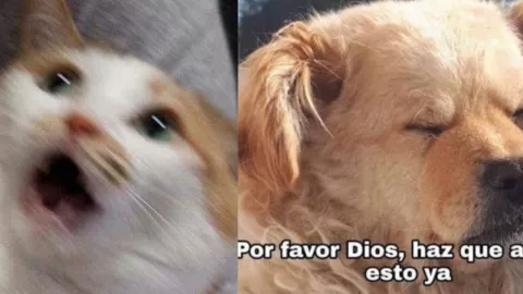 Temblor de 5.5 en Oaxaca desata los memes en redes sociales