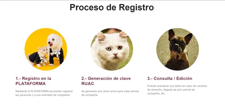RUAC: Guía para tramitar el “CURP” para mascotas que ya es obligatorio en CDMX