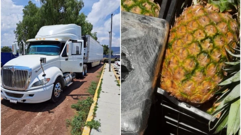 carga de piñas con coca