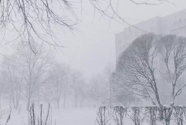 Tormenta invernal.jpg