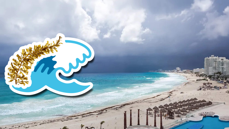 Playas libres de sargazo en Quintana Roo HOY 1 de julio de 2025_ Lista desde Holbox, Cancún y hasta Tulum.jpg