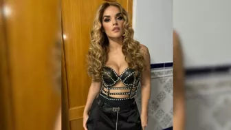 melody de el baile del gorila