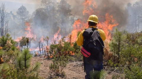 Incendios Forestales