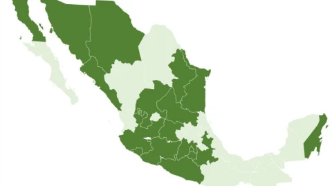 Estados con mayor riesgo de reclutamiento de niños y adolescentes en México