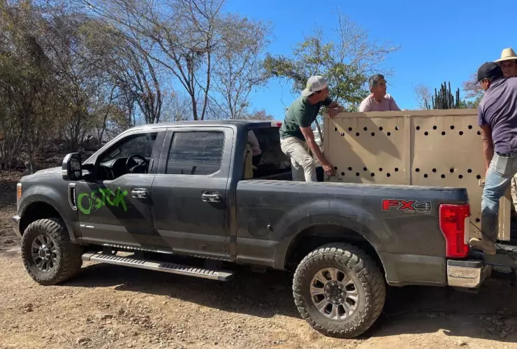 Roban camioneta del Santuario Ostok en Culiacán, Sinaloa hoy 20 de febrero de 2025. .jpg