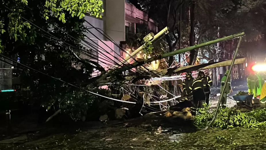 VIDEO: Lluvias y vientos provocan caos en la CDMX y Edomex con árboles caídos ni luz