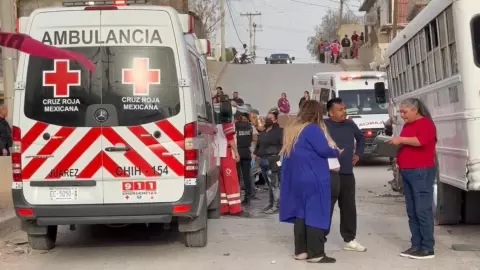 WhatsApp Image 2025-03-11 at 6.27.14 PM.jpeg