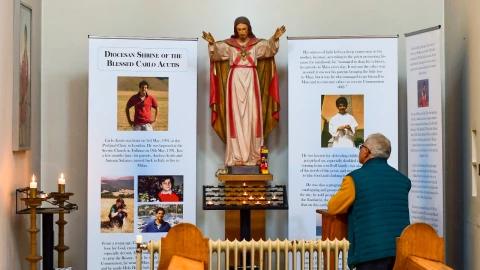 Canonización Carlo Acutis