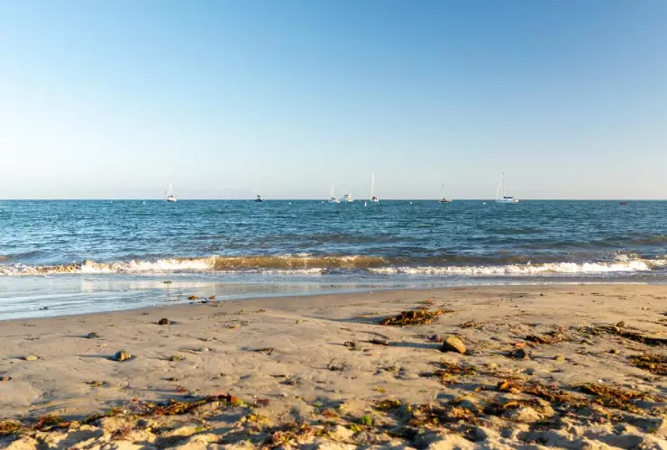 Estados Unidos emitió una alerta por la presencia de la bacteria “come carne” en el Golfo de México y el aumento de casos.