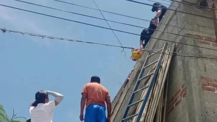 Roza con su cabello cables de alta tensión y resulta electrocutado en Santiago Miahuatlán, Puebla