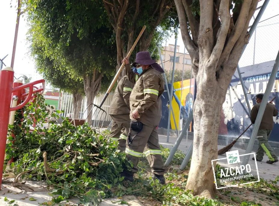 Podan arboles azcapo.jpeg