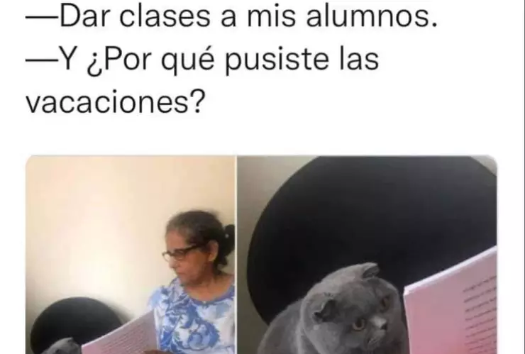 Feliz Día del Maestro: Los mejores memes de este 15 de mayo