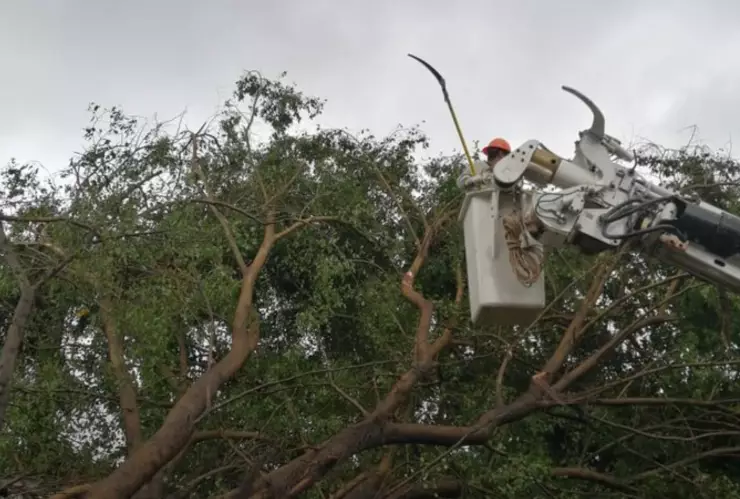 cfe-dolores1 (1).jpg