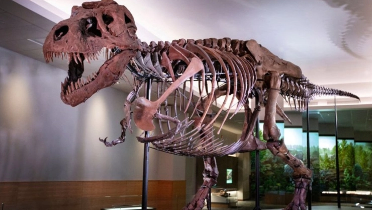 t_rex.jpg