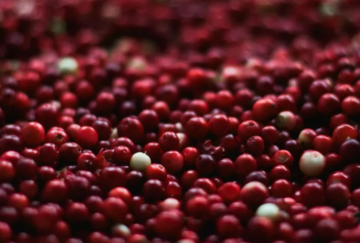 La fruta que contiene más vitamina C y no es la naranja