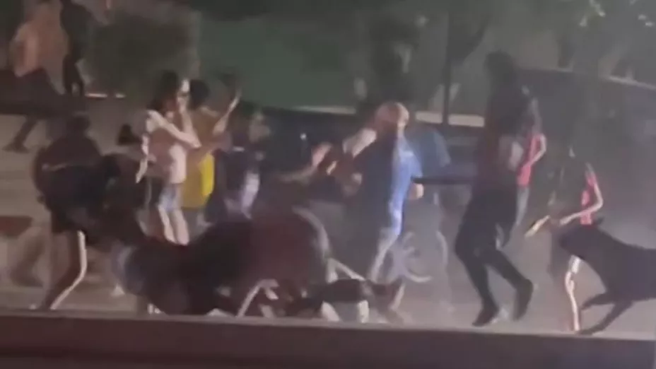 Riña entre vecinos.jpg