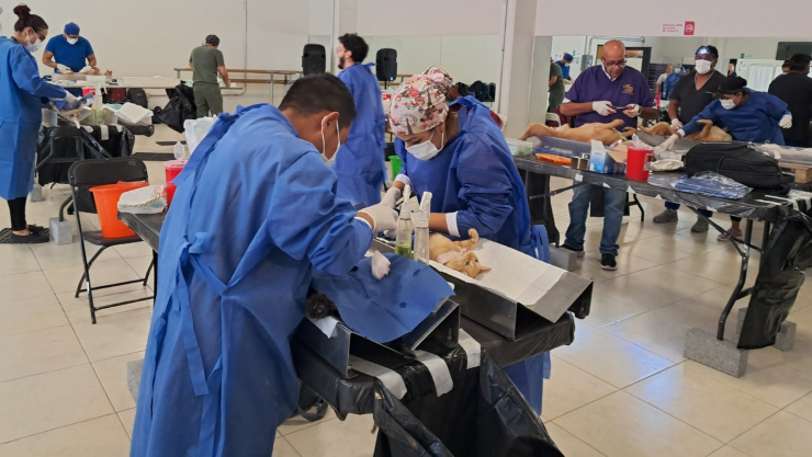 Campaña de esterilización gratuita para perros y gatos en León fechas, sedes y requisitos.png