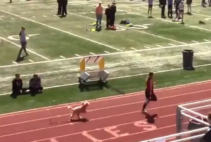 perrito y corredora en carrera de relevos.png